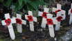 Remembrance Sunday 2009 (image by DH Todd)